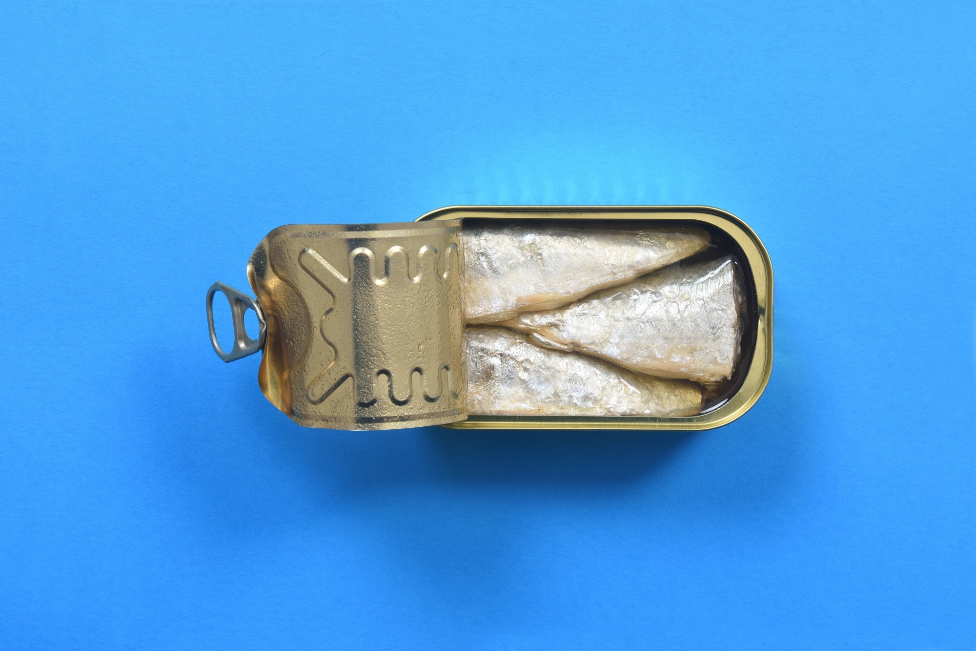 Rapid Communication: Food-borne botulism outbreak during the Rugby World Cup linked to marinated sardines in Bordeaux, France, September 2023. ​​​​​​​Image Credit: Josep Curto / Shutterstock