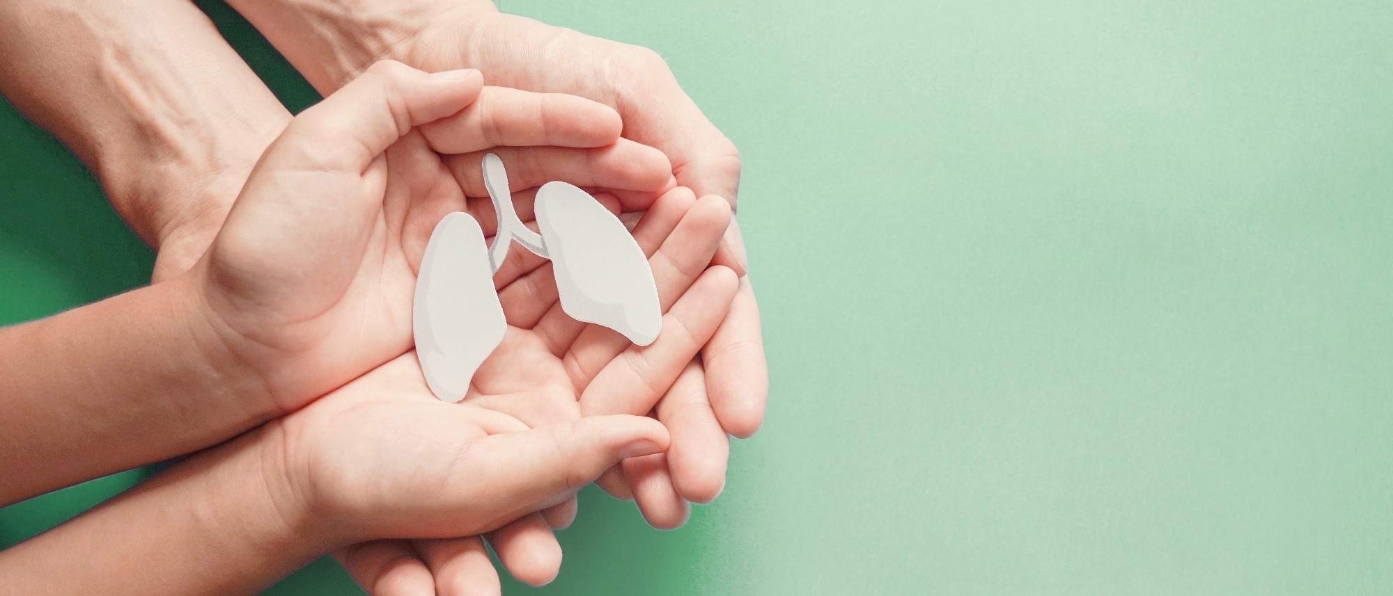 Study: Systematic review and network meta-analysis of efficacy and safety of interventions for preventing anti-tuberculosis drug induced liver injury. Image Credit: SewCreamStudio/Shutterstock.com