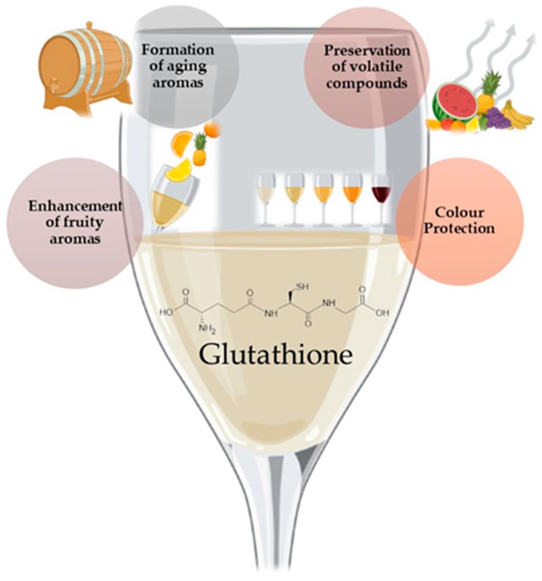 Schematic effect of glutathione in wine and wine-related products.