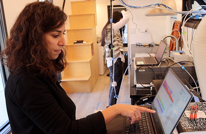 Study finds high levels of chemicals in hair care products