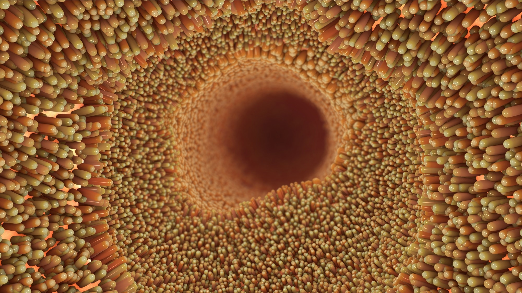 Study: Cytoglobin regulates NO-dependent cilia motility and organ laterality during development. Image Credit: Nathan Devry / Shutterstock.com