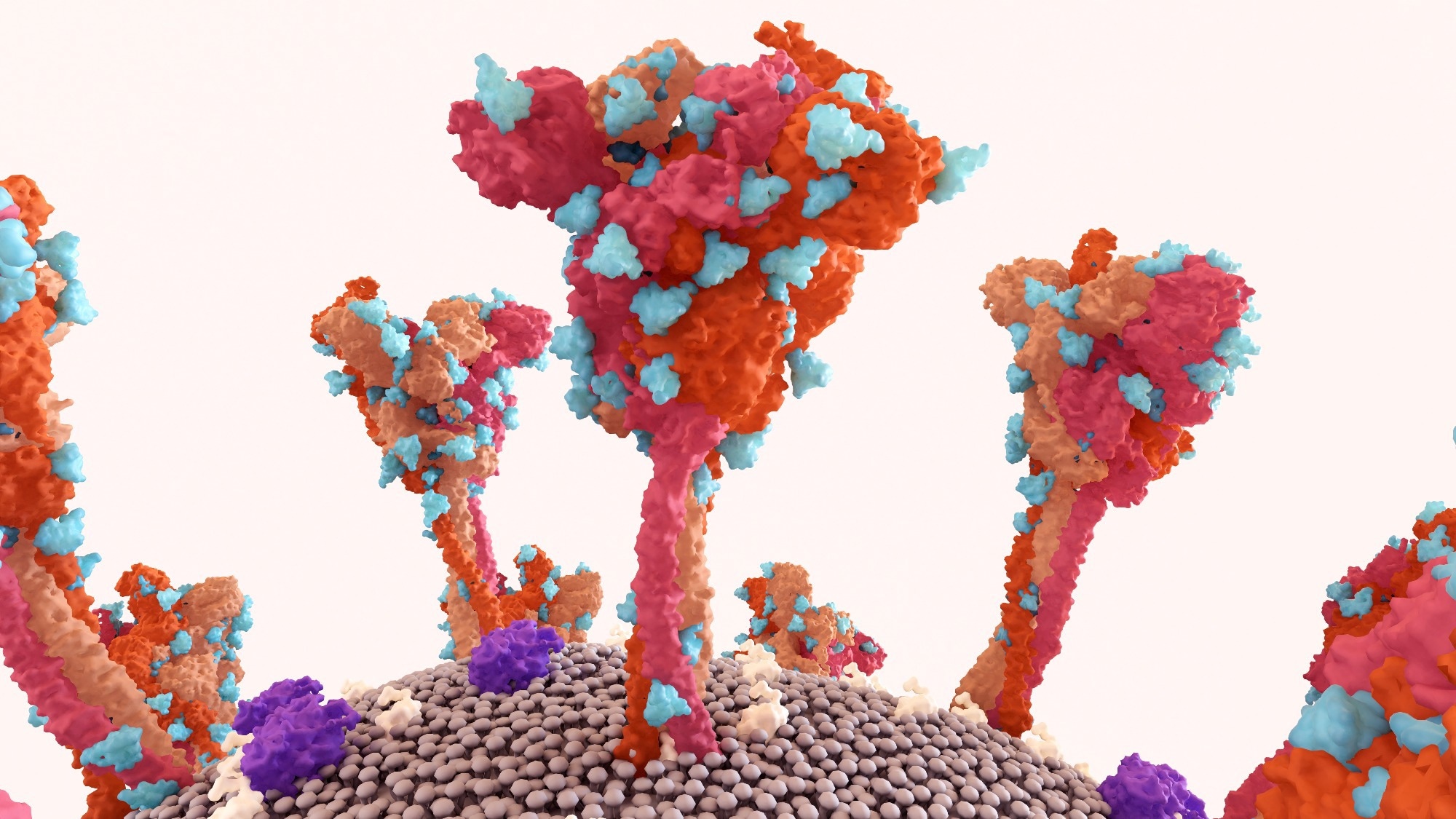 Study: Immune evasion, infectivity, and fusogenicity of SARS-CoV-2 BA.2.86 and FLip variants. Image Credit: Design_Cells / Shutterstock