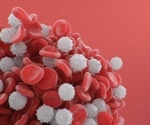 Small-molecule A485 mobilizes white blood cells on demand