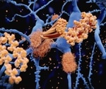 Study finds Plexin-B1 could be key to Alzheimer’s treatment, enhancing glial cell response