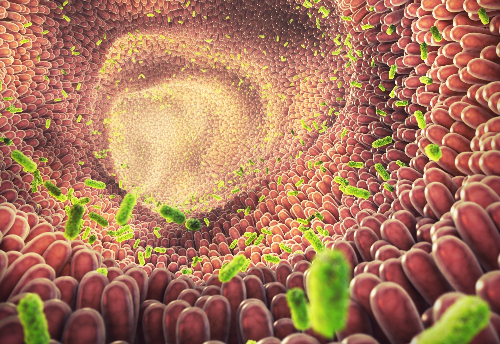 Review: The central role of the gut microbiota in the pathophysiology and management of type 2 diabetes. Image Credit: nobeastsofierce / Shutterstock