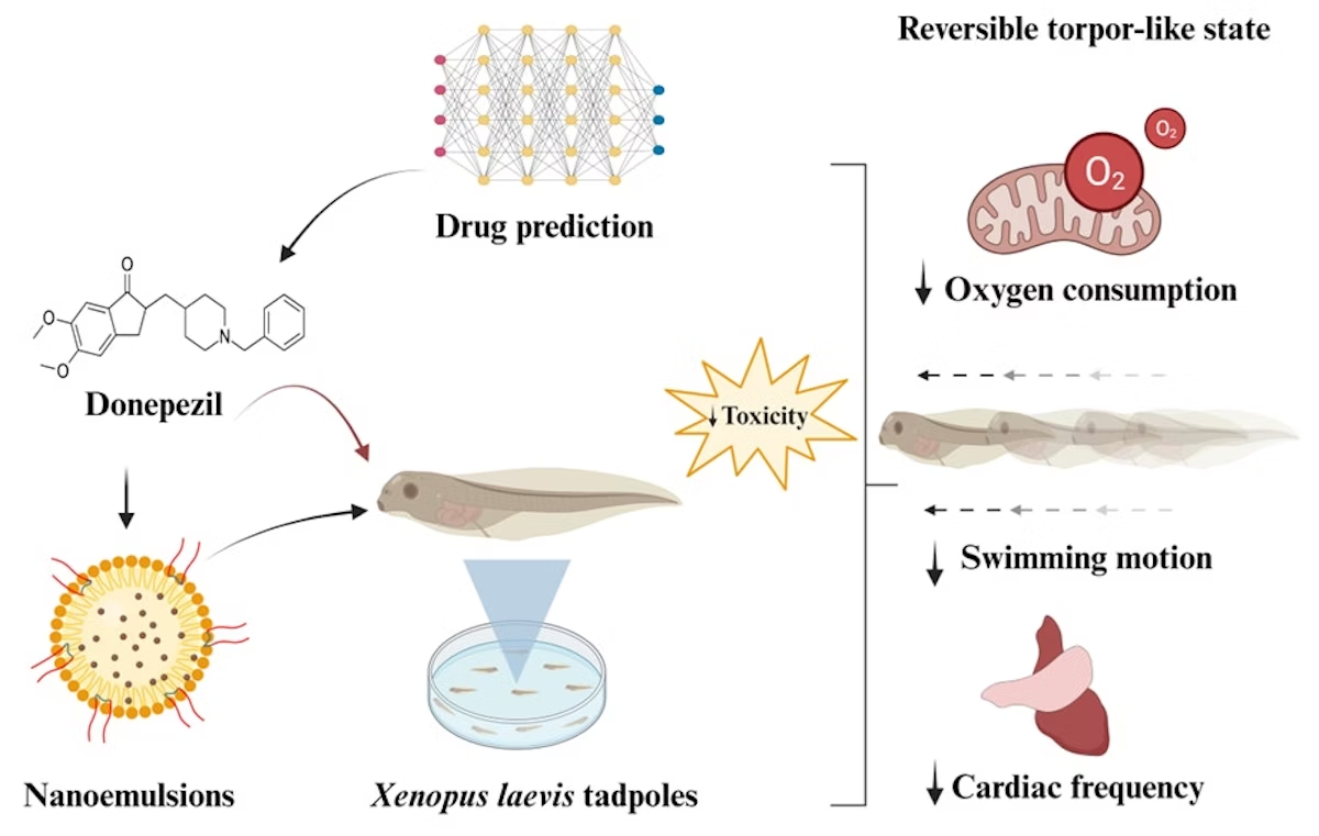 FDA-approved Alzheimer