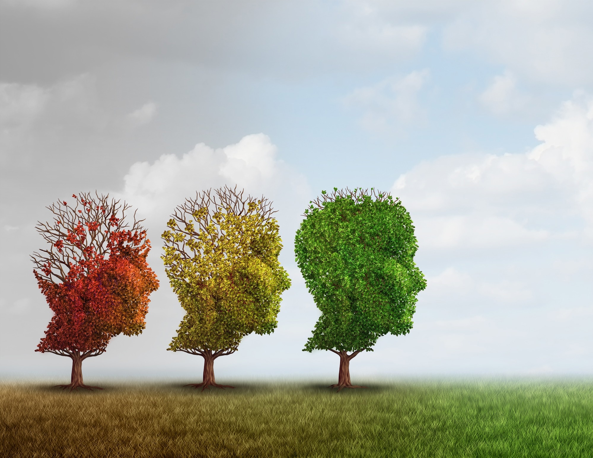 Study: Brain clocks capture diversity and disparities in aging and dementia across geographically diverse populations. ​​​​​​​Image Credit: Lightspring / Shutterstock