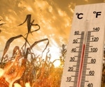 Extreme heat puts children's health at risk, urging action on adaptation measures