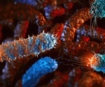 Electric current in gut attracts pathogens like Salmonella