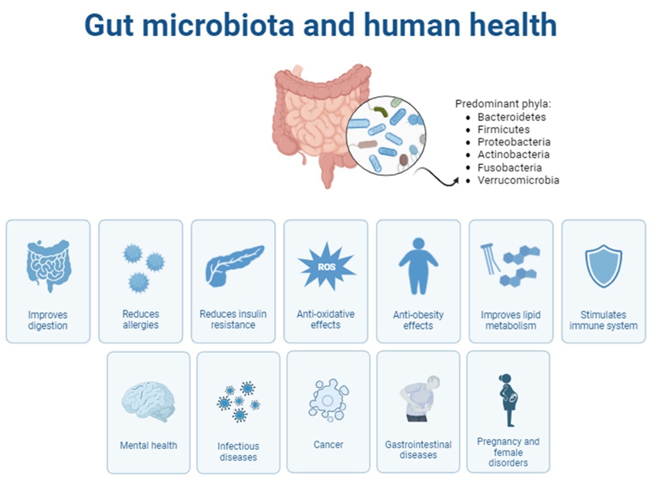 Review: Substitutive Effects of Milk vs. Vegetable Milk on the Human Gut Microbiota and Implications for Human Health