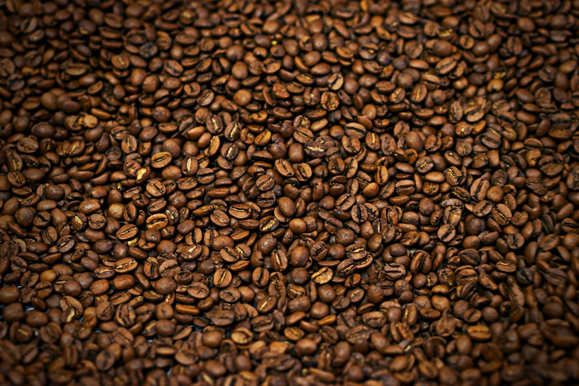 Study: Effects of 12-Week Supplementation with Coffee Diterpene Cafestol in Healthy Subjects with Increased Waist Circumference: A Randomized, Placebo-Controlled Trial. Image Credit: PeopleImages.com - Yuri A/Shutterstock.com