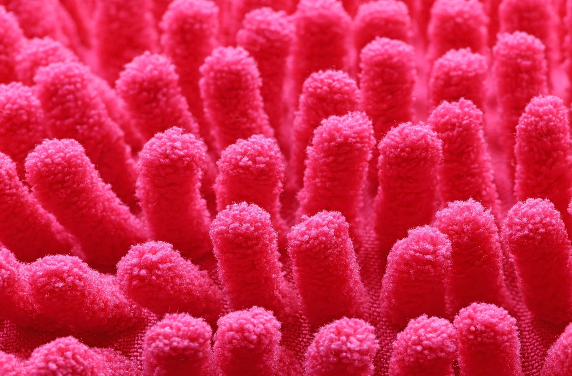 Study: Gut Dysbiosis and Fecal Microbiota Transplantation in Pancreatic Cancer: Current Status and Perspectives. Image Credit: TopMicrobialStock/Shutterstock.com