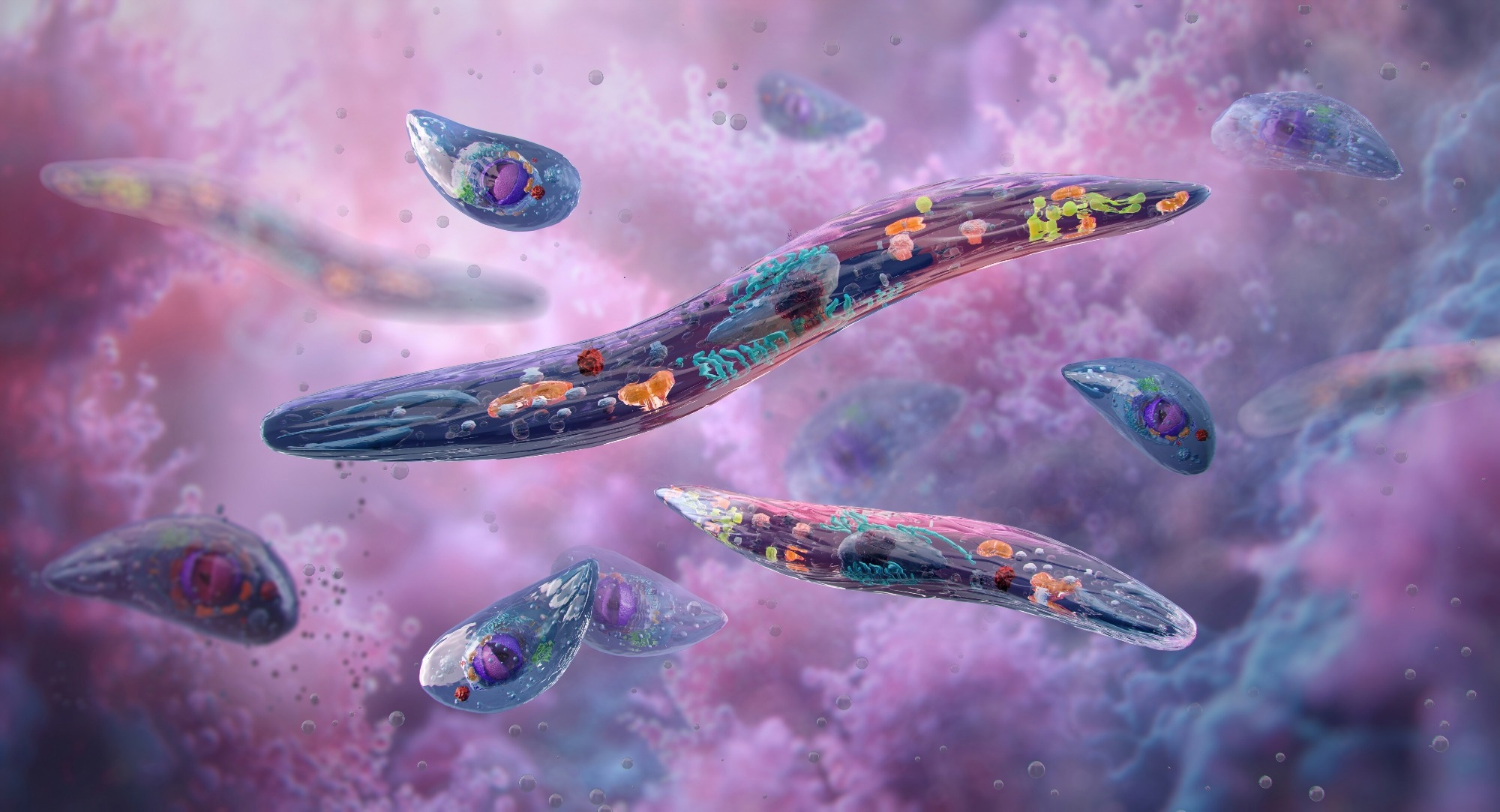 3D illustration of Plasmodium, the blood parasite responsible for malaria. Image Credit: Corona Borealis Studio / Shutterstock