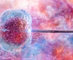 AI reveals key follicle sizes to boost IVF success