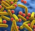 Gut microbes and plant foods: a powerful duo for healthy aging
