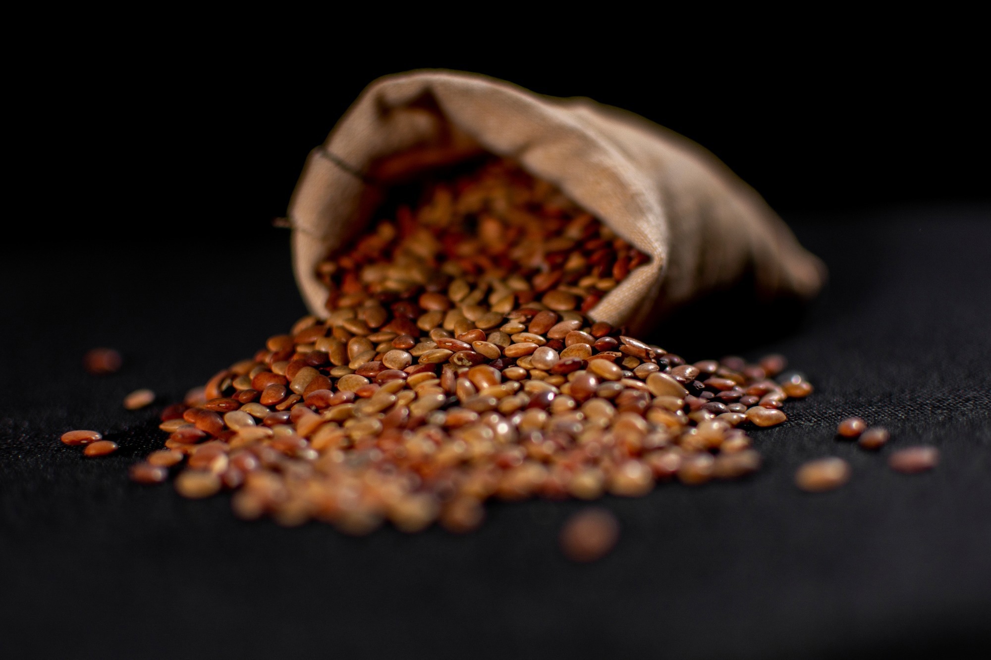 Horse gram. Image Credit: kv naushad / Shutterstock