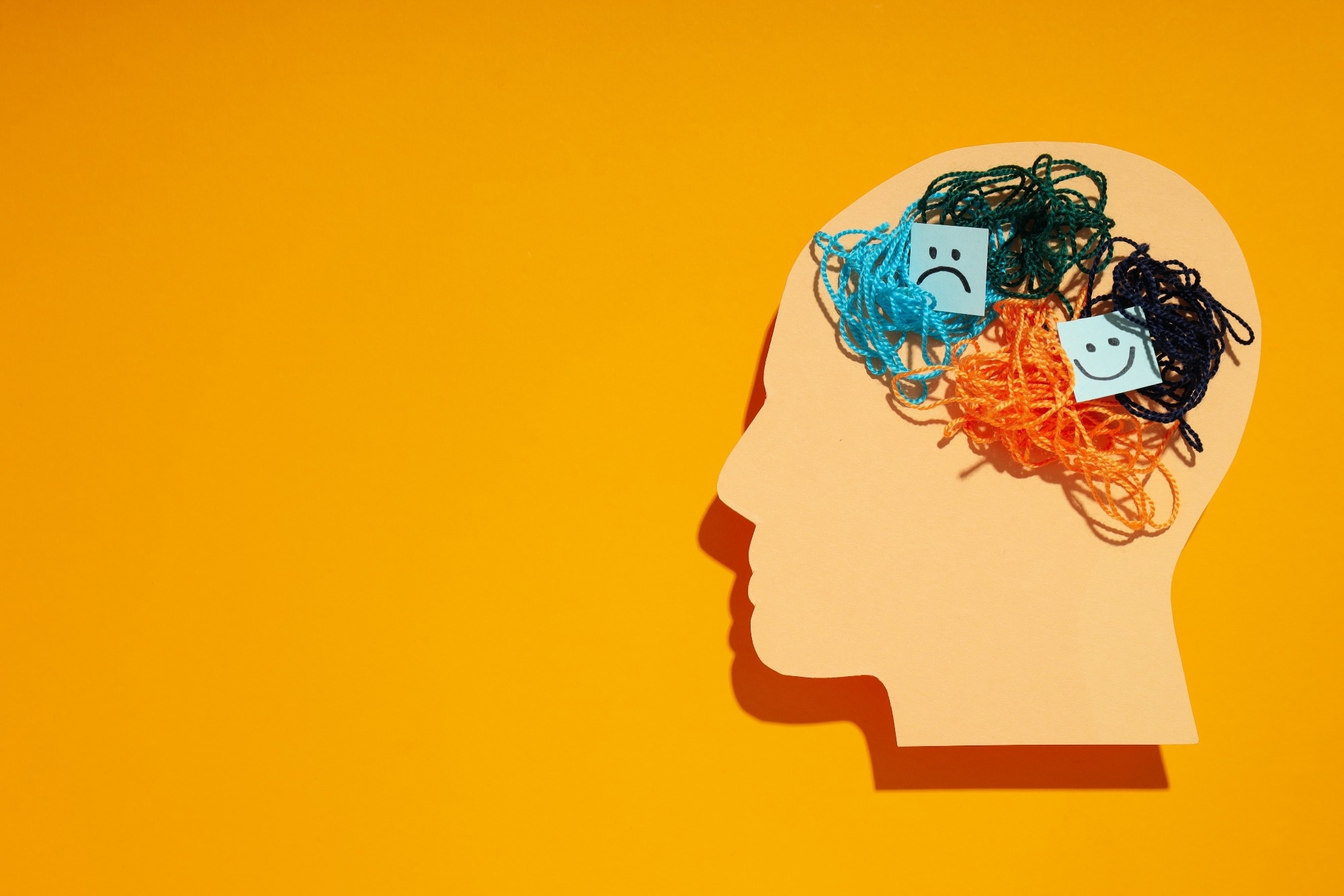 Study: Effect of lithium on circadian activity level and flexibility in patients with bipolar disorder: results from the Oxford Lithium Trial. Image Credit: AtlasStudio / Shutterstock