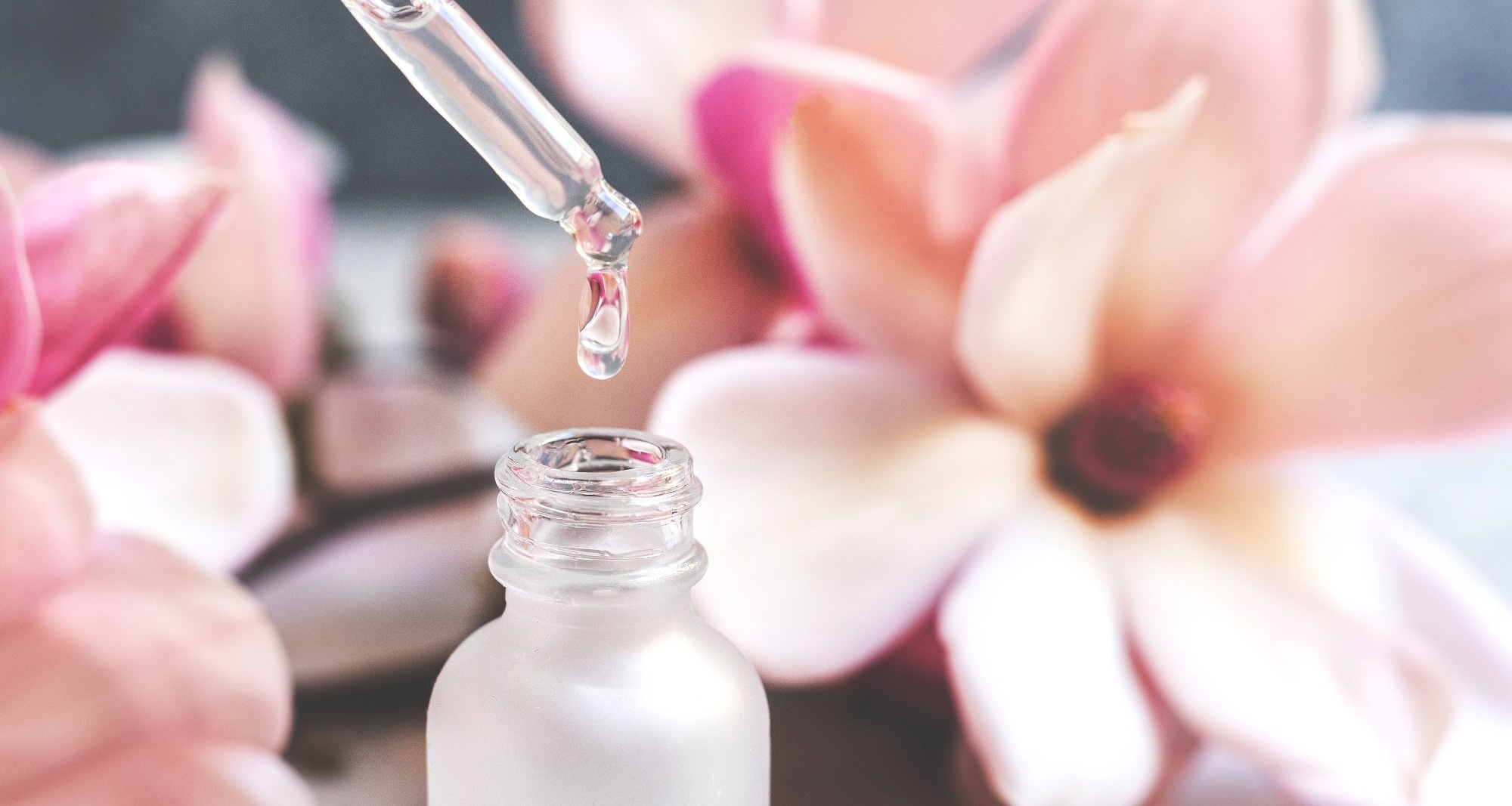 Study: Magnolia essential oil: a preliminary exploration of chemical composition and its antimicrobial and antioxidant potential. Image Credit: Elena.Katkova / Shutterstock