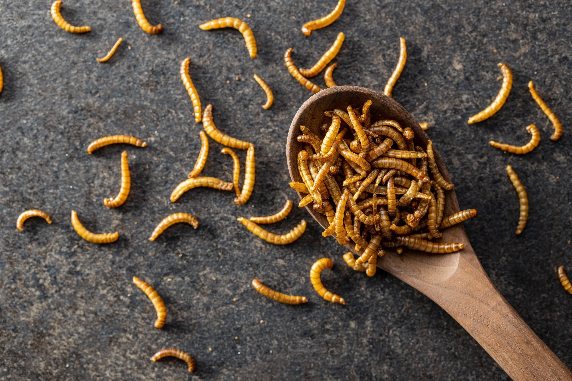Study: Are Insect-Based Foods Healthy? An Evaluation of the Products Sold in European E-Commerce. Image Credit: Jiri Hera / Shutterstock