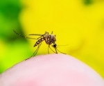 Scientists say global conditions are ripe for a yellow fever pandemic
