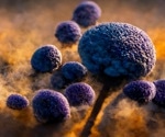 Climate models predict spread of deadly Aspergillus pathogens