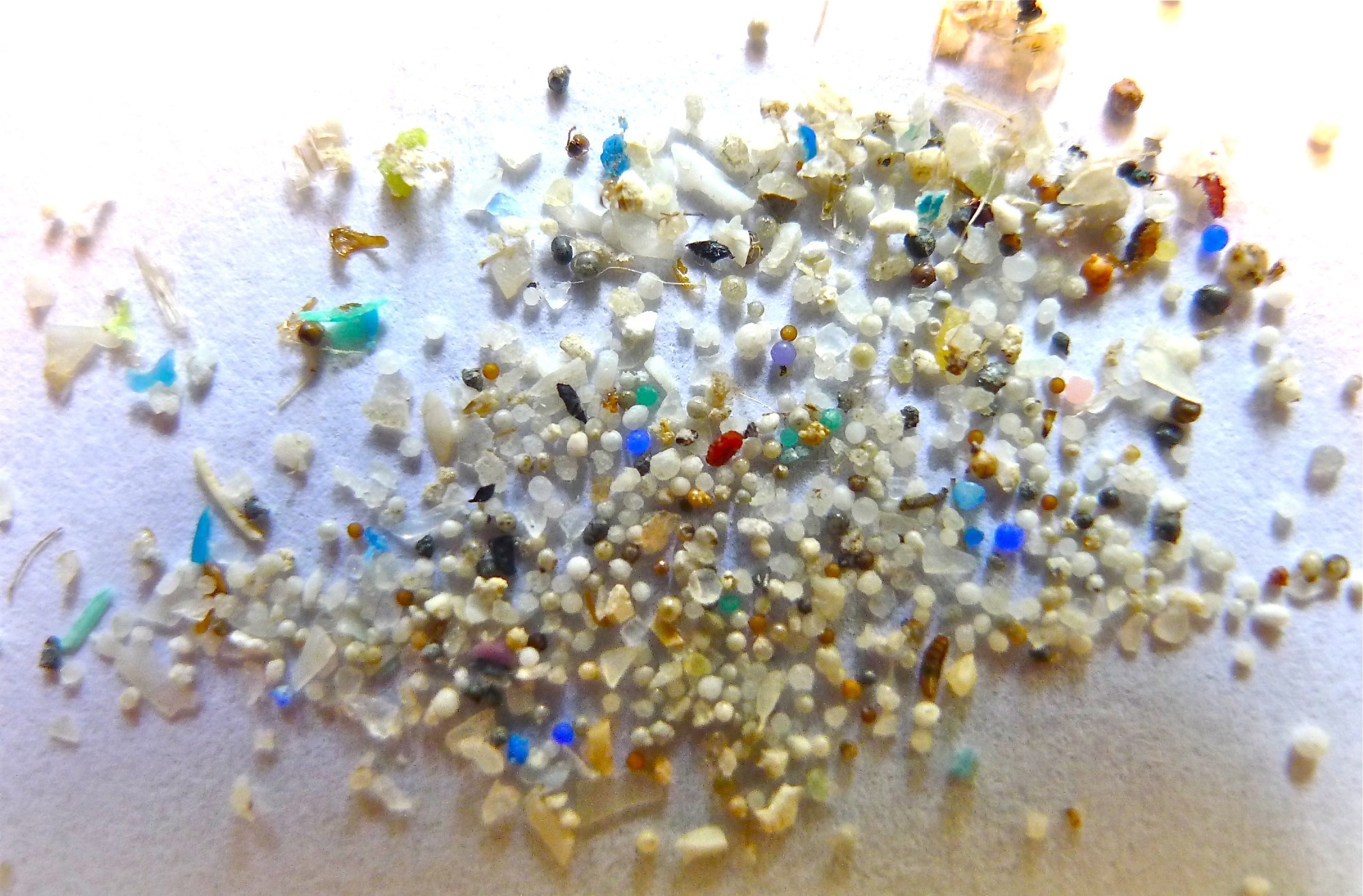 Study: Air pollution and its impacts on health: Focus on microplastics and nanoplastics. Image Credit: Image by 5Gyres, courtesy of Oregon State University