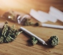Researchers show cannabis dependence drives links to psychiatric disorders