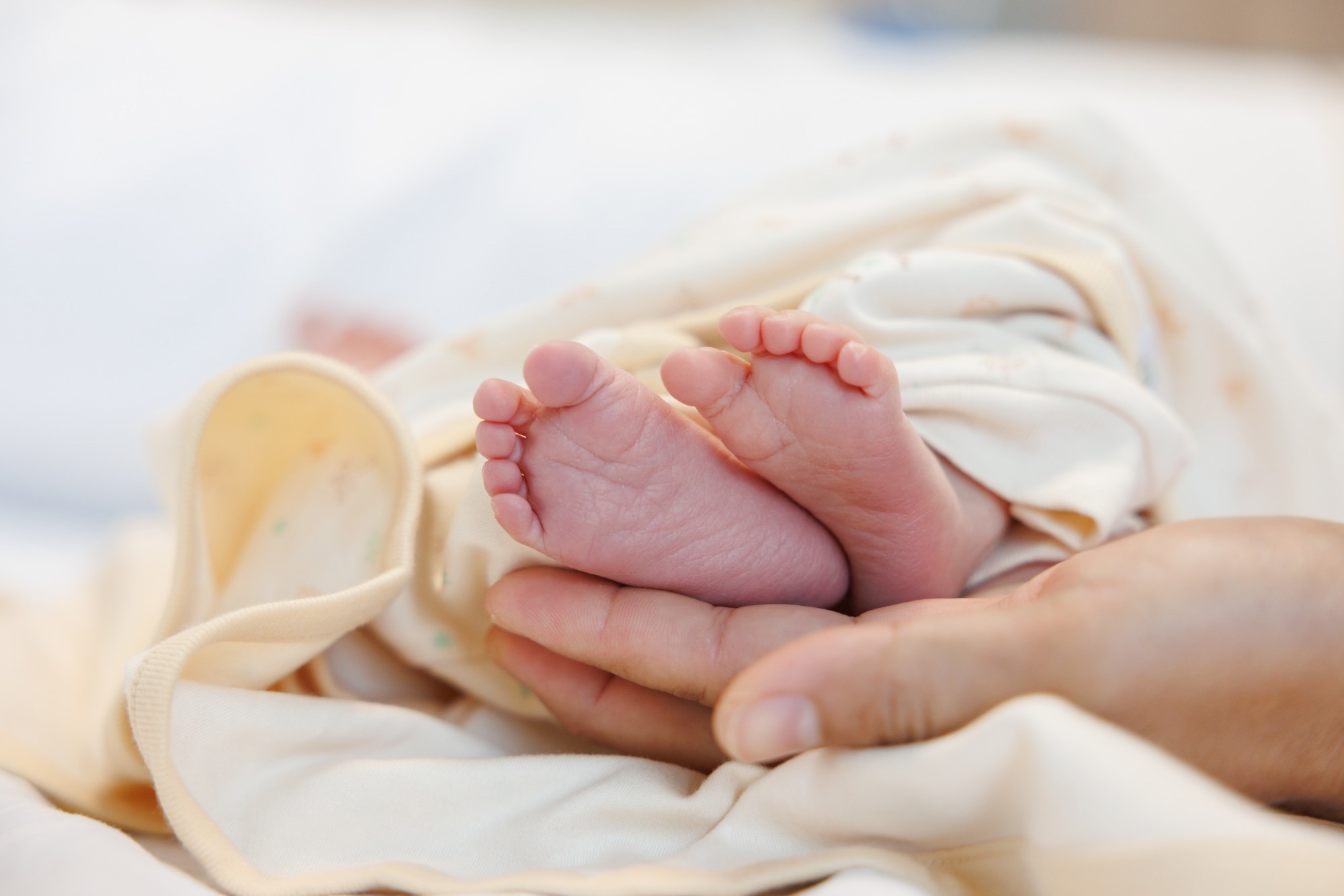 Study: Impact of early life antibiotic and probiotic treatment on gut microbiome and resistome of very-low-birth-weight preterm infants. Image Credit: Ratchat / Shutterstock
