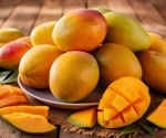 Can a mango a day keep diabetes away?
