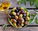 Hydroxytyrosol from olives shows new promise as a brain-protective compound