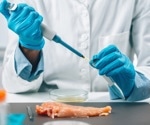 New rapid PCR method detects Salmonella in food within hours
