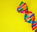 H3Africa Initiative selects Illumina to develop new array for genome-wide association studies