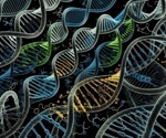 Set of genes identified in human genome essential for survival, proliferation of human cell lines