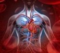 New ACC Scientific Statement highlights inflammation in cardiovascular disease