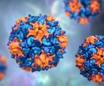 Dutch researcher sheds new light on coronaviruses