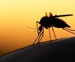 AI-based tool aims to improve mosquito identification for disease control