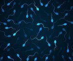 Mutation in a single gene may be responsible for non-obstructive azoospermia in men