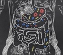 Social living allows genetic effects to spread through the gut microbiome