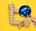Social living allows genetic effects to spread through the gut microbiome