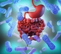 Gut bacteria produce immune-boosting compounds in response to tetracyclines