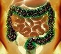 Social living allows genetic effects to spread through the gut microbiome