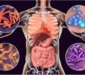 Genes influence the gut microbiome beyond the individual