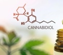 Investigating cannabidiol's role in combating Alzheimer's-related neuroinflammation
