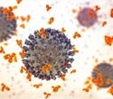 Scientists develop promising new drug candidates against coronaviruses