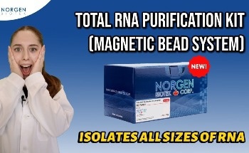 Achieving Automated RNA Extraction in 15 Minutes