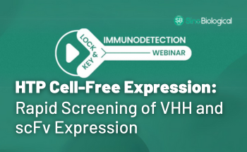High-throughput cell-free expression for rapid VHH and scFv screening